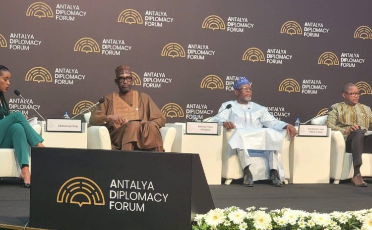  Forum Diplomatique d’Antalya : la dynamique et la vision de AES au menu d’un panel